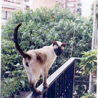 child_proof_nets_pets